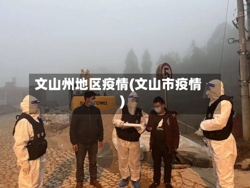 文山州地区疫情(文山市疫情)-第3张图片