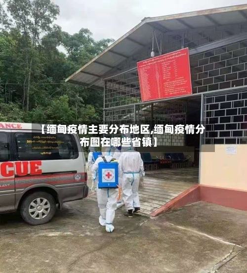 【缅甸疫情主要分布地区,缅甸疫情分布图在哪些省镇】-第2张图片