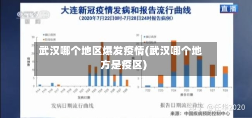 武汉哪个地区爆发疫情(武汉哪个地方是疫区)-第2张图片
