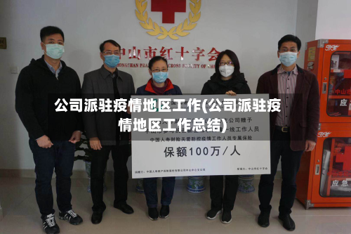 公司派驻疫情地区工作(公司派驻疫情地区工作总结)-第1张图片