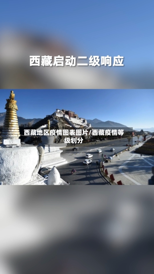 西藏地区疫情图表图片/西藏疫情等级划分-第3张图片
