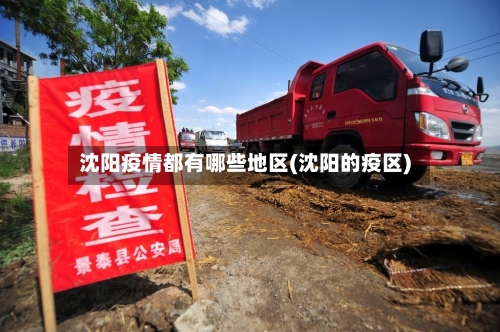 沈阳疫情都有哪些地区(沈阳的疫区)-第1张图片