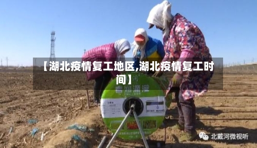 【湖北疫情复工地区,湖北疫情复工时间】-第2张图片