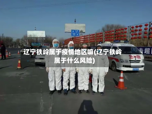 辽宁铁岭属于疫情地区嘛(辽宁铁岭属于什么风险)-第1张图片