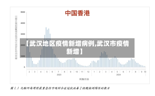 【武汉地区疫情新增病例,武汉市疫情新增】-第1张图片