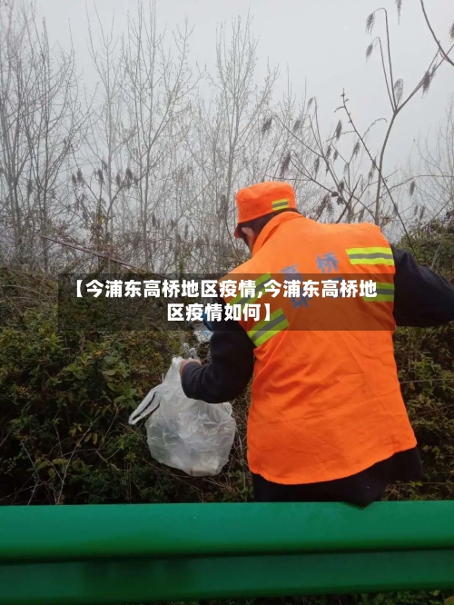 【今浦东高桥地区疫情,今浦东高桥地区疫情如何】-第2张图片