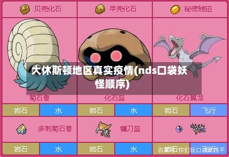 大休斯顿地区真实疫情(nds口袋妖怪顺序)-第1张图片