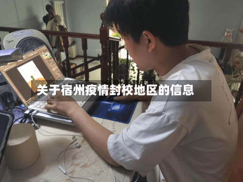关于宿州疫情封校地区的信息-第1张图片