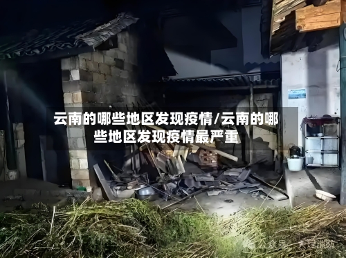 云南的哪些地区发现疫情/云南的哪些地区发现疫情最严重-第2张图片