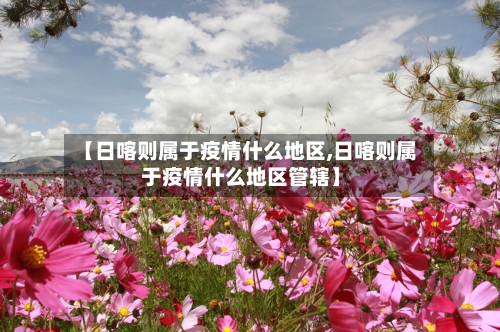 【日喀则属于疫情什么地区,日喀则属于疫情什么地区管辖】-第1张图片