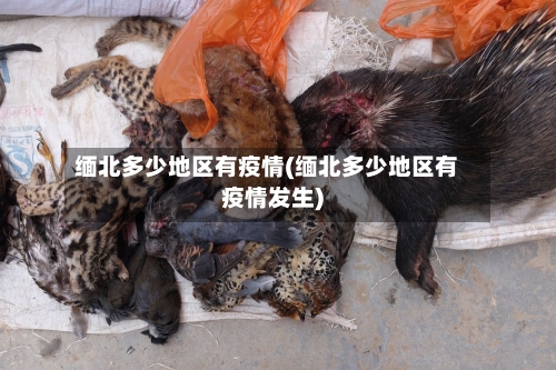 缅北多少地区有疫情(缅北多少地区有疫情发生)-第1张图片