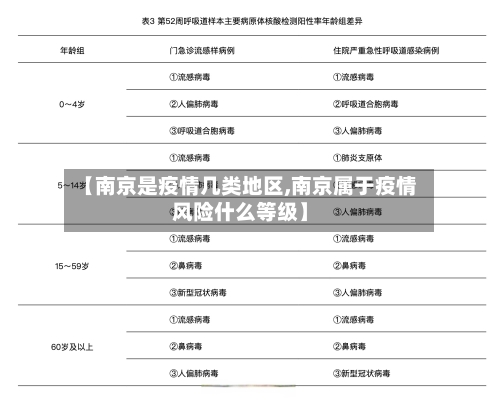 【南京是疫情几类地区,南京属于疫情风险什么等级】-第2张图片