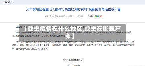 【蚊虫疫情在什么地区,蚊虫在哪里产卵】-第1张图片