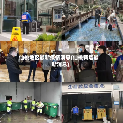 仙桃地区最新疫情消息(仙桃新增最新消息)-第1张图片