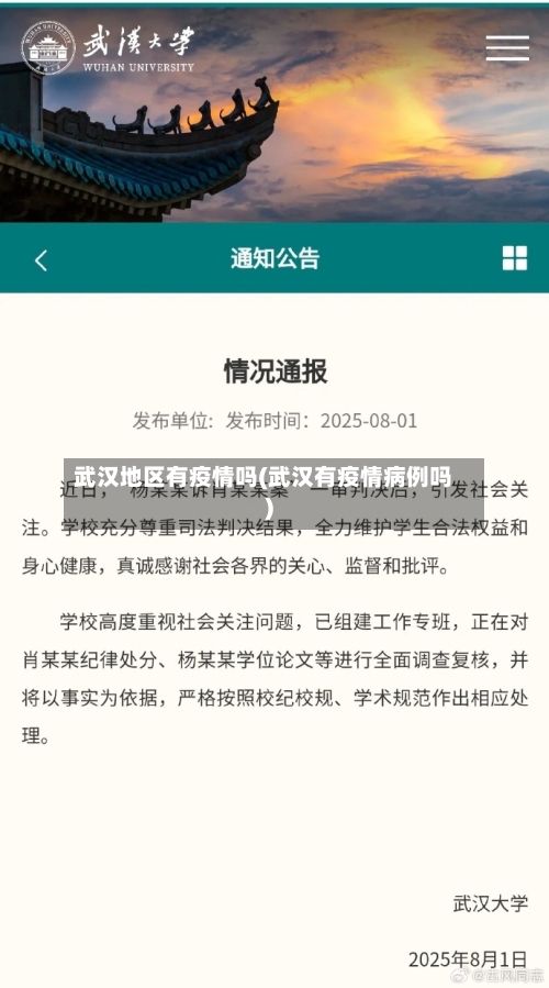 武汉地区有疫情吗(武汉有疫情病例吗)-第3张图片