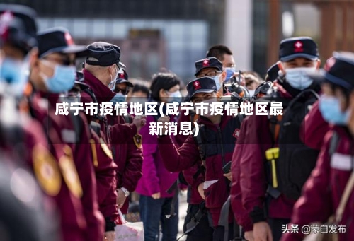 咸宁市疫情地区(咸宁市疫情地区最新消息)-第2张图片