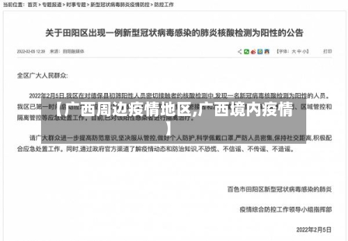 【广西周边疫情地区,广西境内疫情】-第2张图片