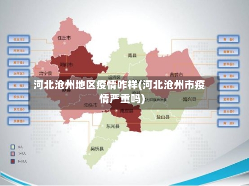 河北沧州地区疫情咋样(河北沧州市疫情严重吗)-第2张图片