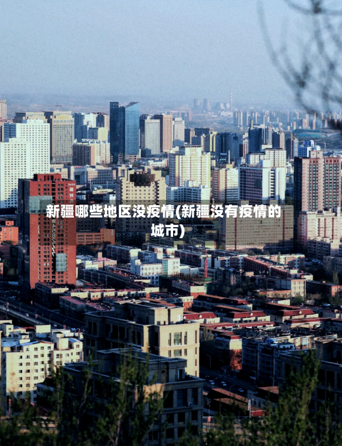 新疆哪些地区没疫情(新疆没有疫情的城市)-第3张图片