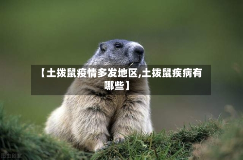 【土拨鼠疫情多发地区,土拨鼠疾病有哪些】-第1张图片
