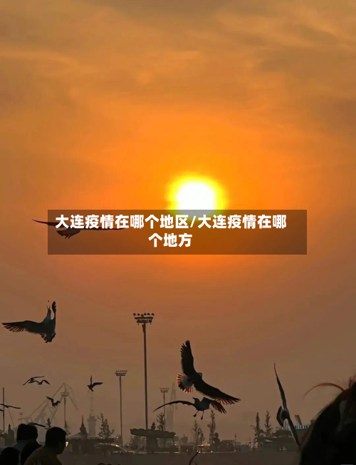 大连疫情在哪个地区/大连疫情在哪个地方-第1张图片