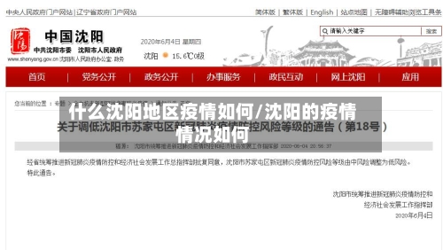 什么沈阳地区疫情如何/沈阳的疫情情况如何-第1张图片