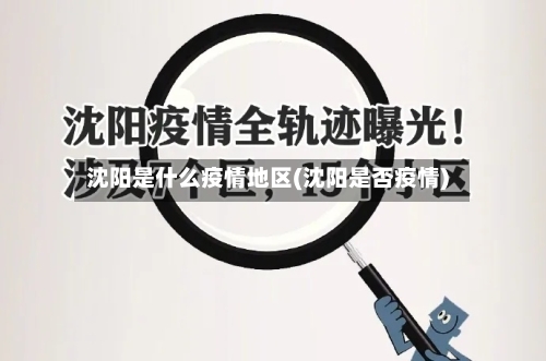 沈阳是什么疫情地区(沈阳是否疫情)-第1张图片