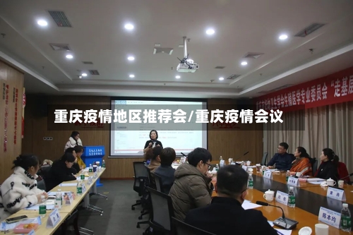 重庆疫情地区推荐会/重庆疫情会议-第3张图片
