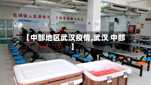 【中部地区武汉疫情,武汉 中部】-第1张图片