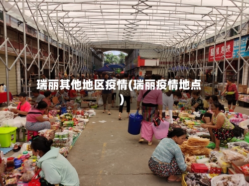 瑞丽其他地区疫情(瑞丽疫情地点)-第3张图片