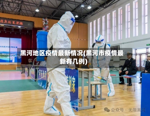 黑河地区疫情最新情况(黑河市疫情最新有几例)-第3张图片