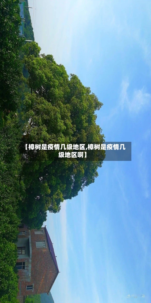 【樟树是疫情几级地区,樟树是疫情几级地区啊】-第2张图片