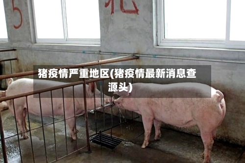 猪疫情严重地区(猪疫情最新消息查源头)-第3张图片