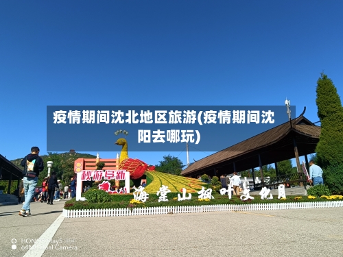 疫情期间沈北地区旅游(疫情期间沈阳去哪玩)-第1张图片