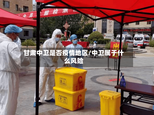 甘肃中卫是否疫情地区/中卫属于什么风险-第1张图片