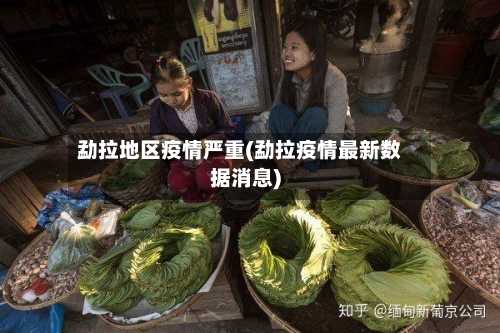 勐拉地区疫情严重(勐拉疫情最新数据消息)-第1张图片