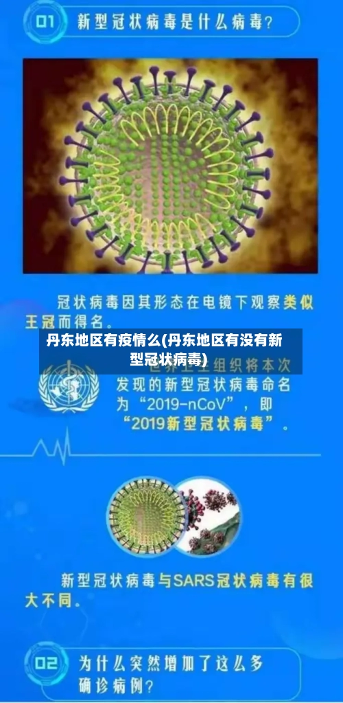 丹东地区有疫情么(丹东地区有没有新型冠状病毒)-第1张图片