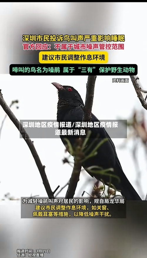 深圳地区疫情报道/深圳地区疫情报道最新消息-第1张图片