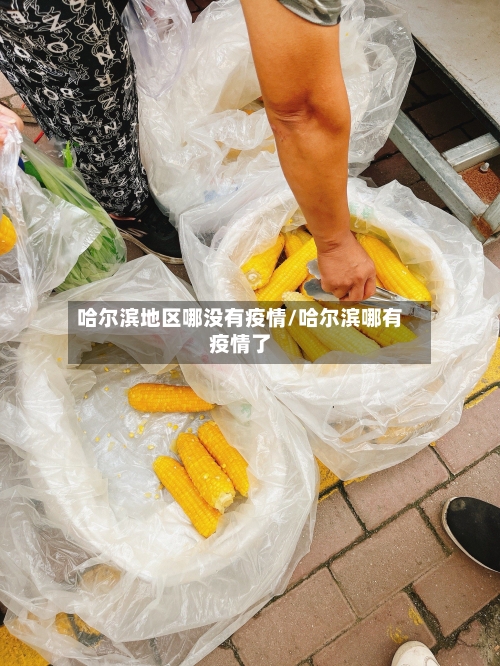 哈尔滨地区哪没有疫情/哈尔滨哪有疫情了-第1张图片