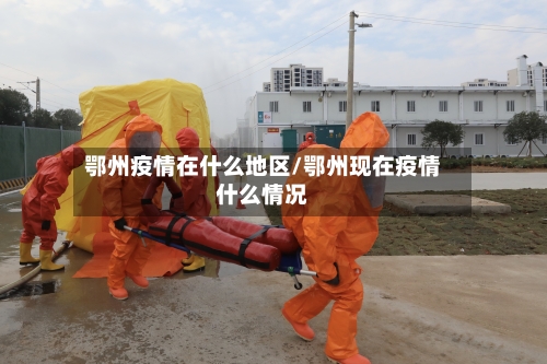 鄂州疫情在什么地区/鄂州现在疫情什么情况-第1张图片