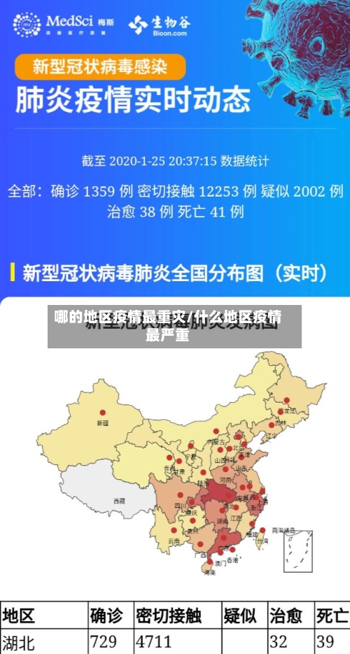 哪的地区疫情最重灾/什么地区疫情最严重-第3张图片