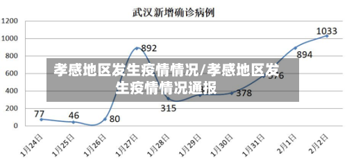 孝感地区发生疫情情况/孝感地区发生疫情情况通报-第2张图片