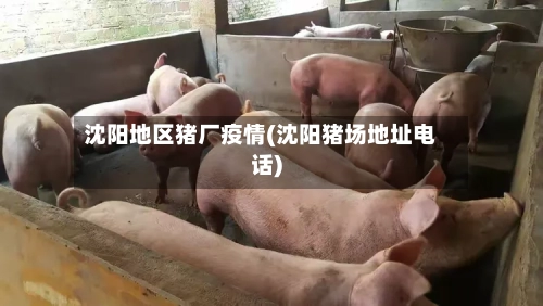 沈阳地区猪厂疫情(沈阳猪场地址电话)-第2张图片